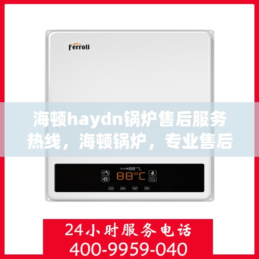 海顿haydn锅炉售后服务热线，海顿锅炉，专业售后服务热线，解决您的锅炉问题