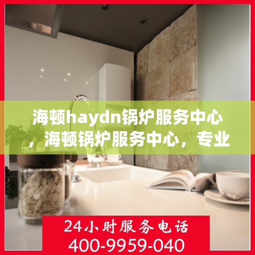 海顿haydn锅炉服务中心，海顿锅炉服务中心，专业维修与保养之选