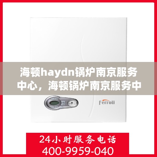 海顿haydn锅炉南京服务中心，海顿锅炉南京服务中心，专业维修与保养一站式解决方案