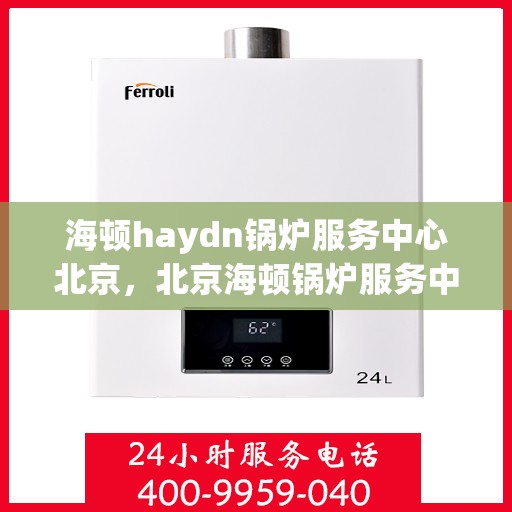 海顿haydn锅炉服务中心北京，北京海顿锅炉服务中心，专业维修与保养专家