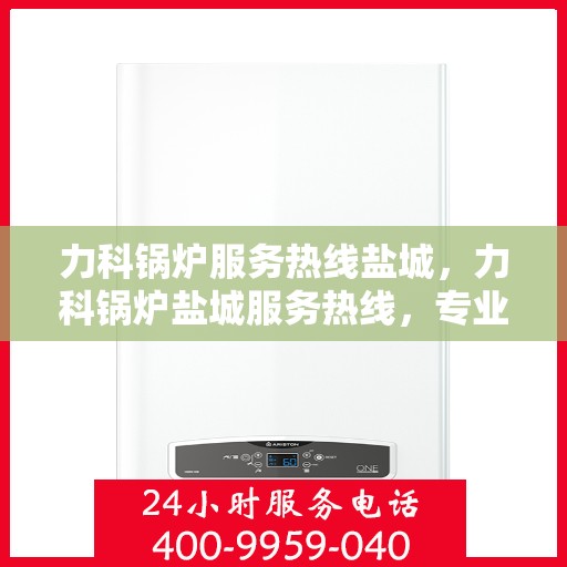力科锅炉服务热线盐城，力科锅炉盐城服务热线，专业维修与保养，让您无后顾之忧！