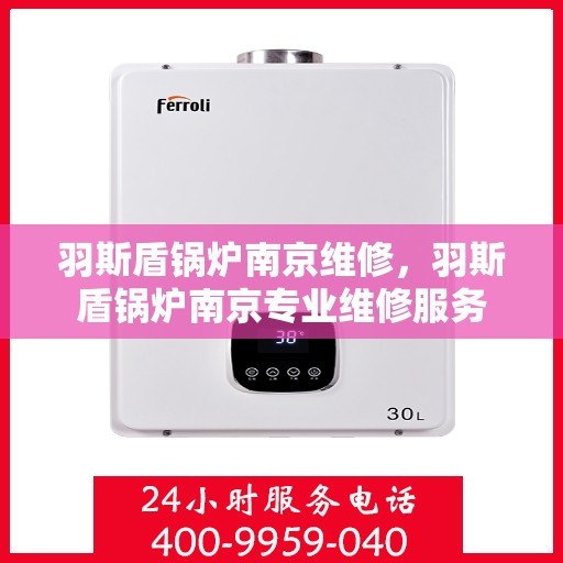 羽斯盾锅炉南京维修，羽斯盾锅炉南京专业维修服务