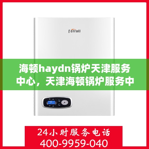 海顿haydn锅炉天津服务中心，天津海顿锅炉服务中心，专业维修与保养Haydn锅炉