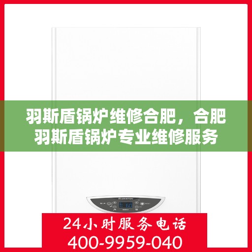 羽斯盾锅炉维修合肥，合肥羽斯盾锅炉专业维修服务