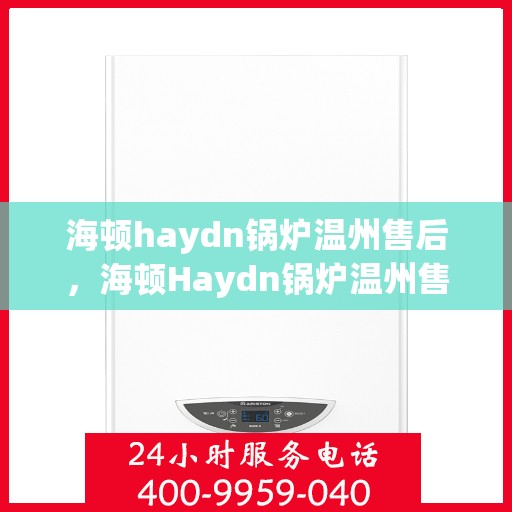 海顿haydn锅炉温州售后，海顿Haydn锅炉温州售后服务中心，专业维修与贴心服务