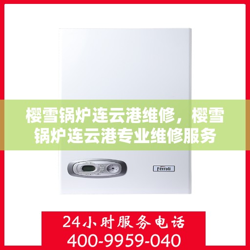 樱雪锅炉连云港维修，樱雪锅炉连云港专业维修服务