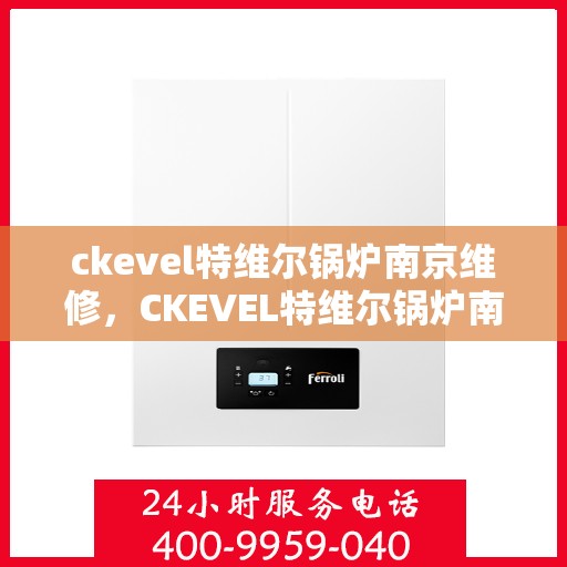 ckevel特维尔锅炉南京维修，CKEVEL特维尔锅炉南京专业维修服务