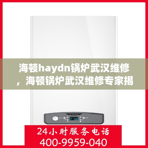 海顿haydn锅炉武汉维修，海顿锅炉武汉维修专家揭秘，专业维修技巧与服务质量解析